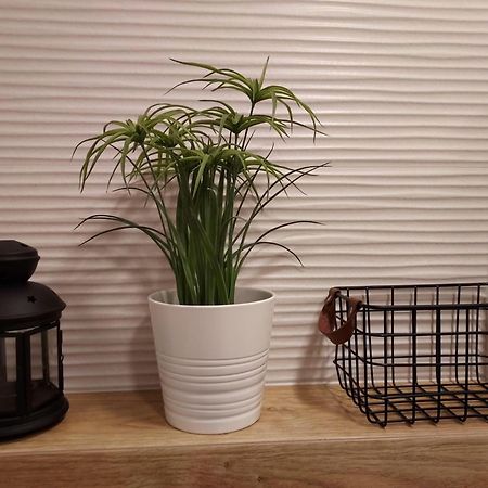 רובי Apartament Sun&Fun - Rowy מראה חיצוני תמונה